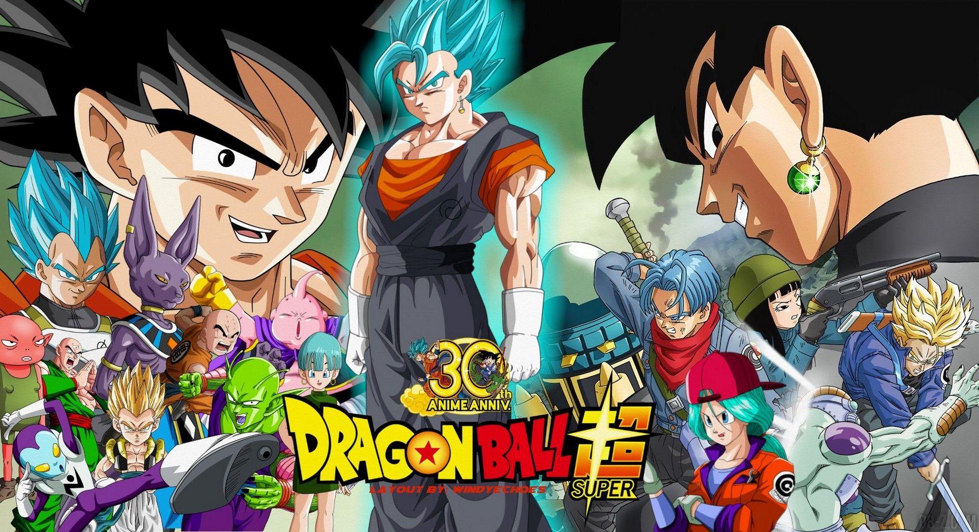 dragon ball super super hero